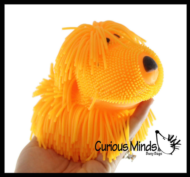 Shaggy Mop Dog Puffer Ball Squishies
